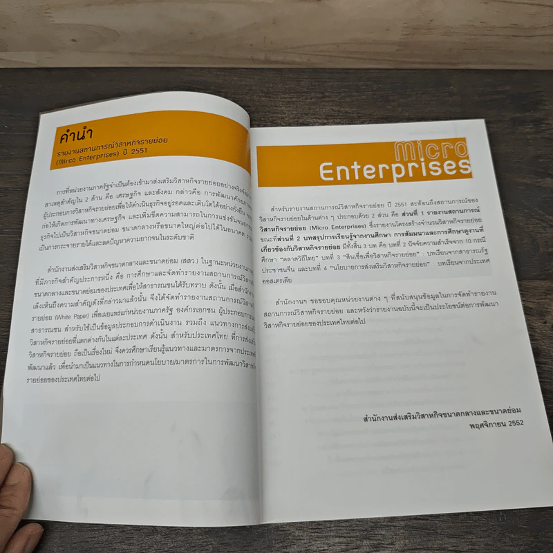 Micro Enterprises รายงานสถานการณ์ วิสาหกิจรายย่อย ปี 2551 รูปที่ 7