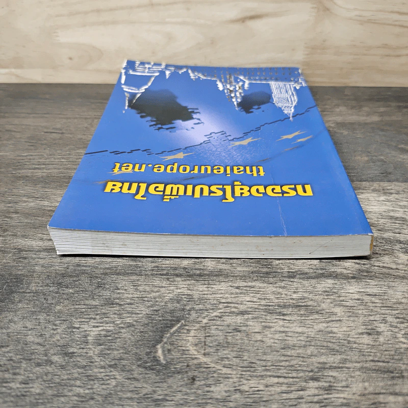 กรองยุโรปเพื่อไทย Thaieurope.net รูปที่ 4