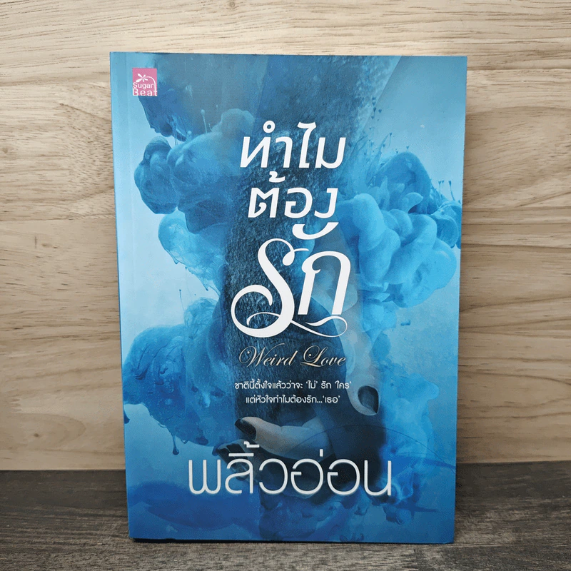 ทำไมต้องรัก - พลิ้วอ่อน รูปที่ 1