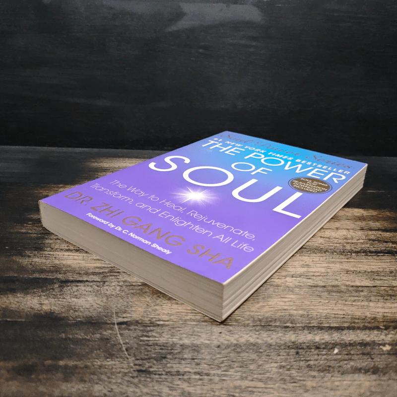 The Power of Soul - Dr. Zhi Gang Sha รูปที่ 4