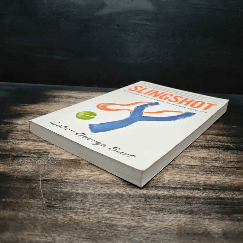 Slingshot: Re-Imagine Your Business รูปที่ 4