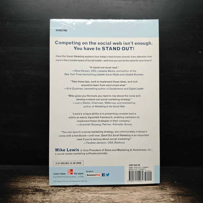 Stand Out Social Marketing - Mike Lewis รูปที่ 2