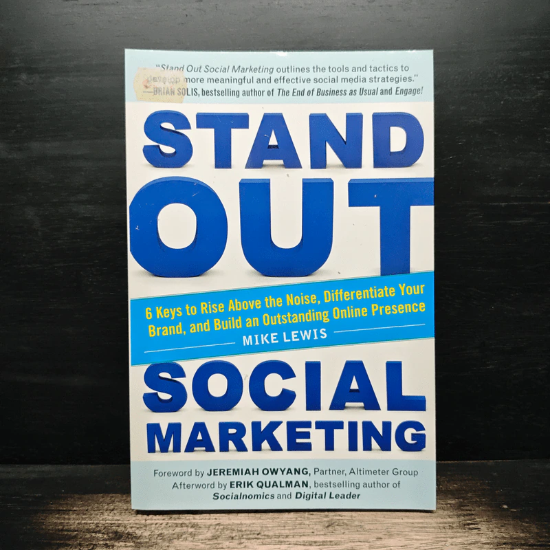 Stand Out Social Marketing - Mike Lewis รูปที่ 1