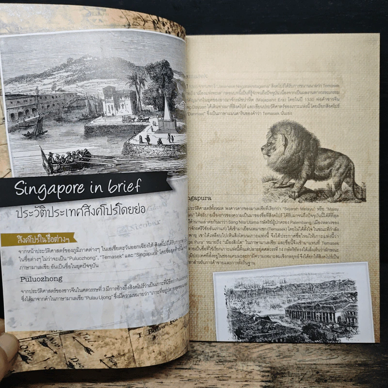Singgapore in hand รูปที่ 7