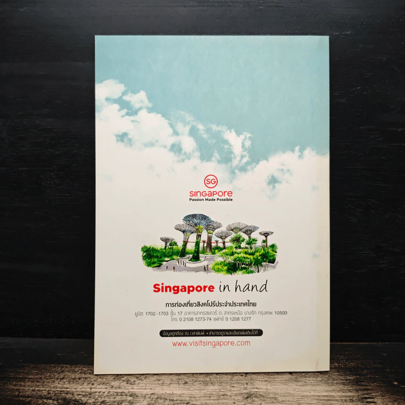 Singgapore in hand รูปที่ 2