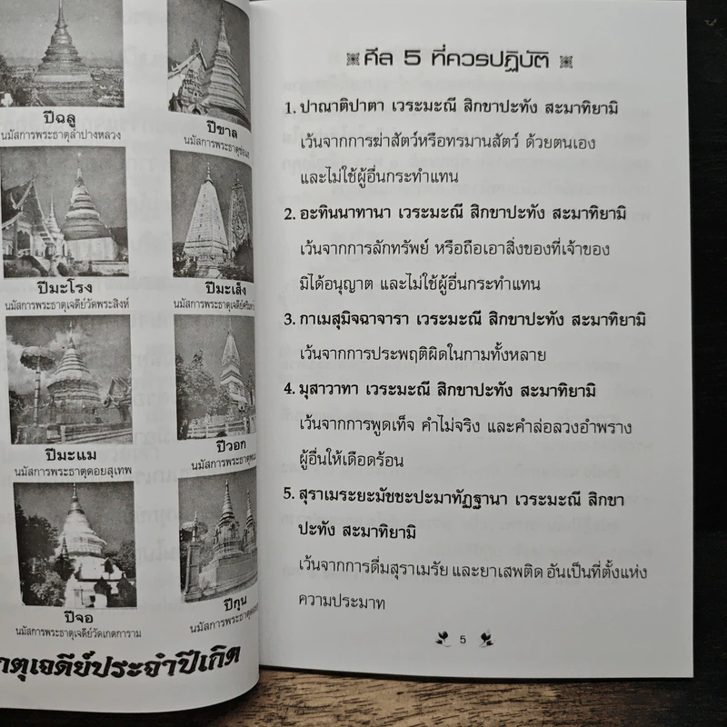 เคล็ดวิธี แก้กรรม-ปัญหาชีวิต กินอย่างไร-ไร้โรคภัย รูปที่ 6