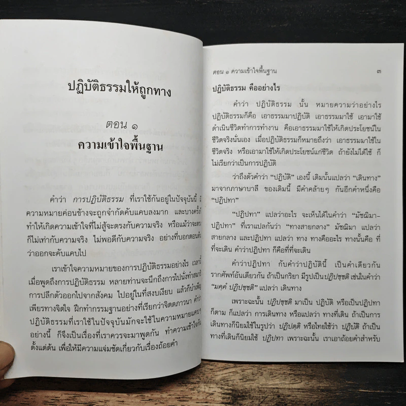 ปฏิบัติธรรมให้ถูกทาง - พระพรหมคุณาภรณ์ (ป.อ.ปยุตโต) รูปที่ 10