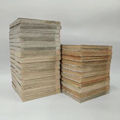 ลูกแกะพันธุ์เสือเค็นอิจิ เล่ม 1-14, 22, 29, 32-36, 39-42 รูปที่ 5