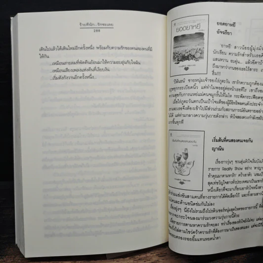 ร้ายดีนัก... รักซะเลย - ฟองฟาง รูปที่ 8