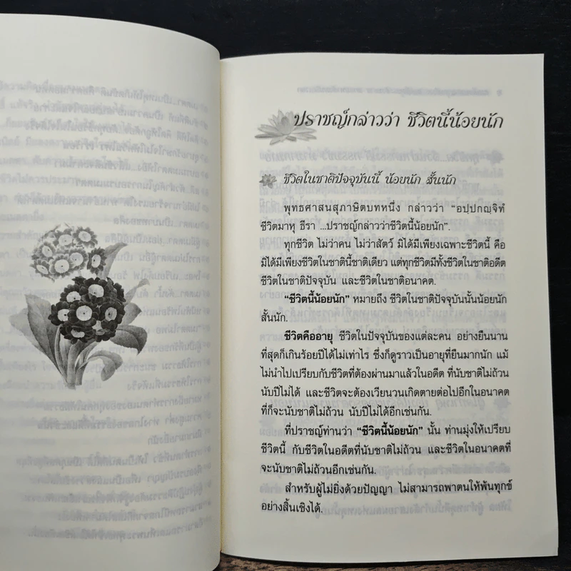 ผู้เป็นที่รักของมนุษย์และเทวดา - สมเด็จพระญาณสังวร สมเด็จพระสังฆราชสกลมหาสังฆปริณายก รูปที่ 10