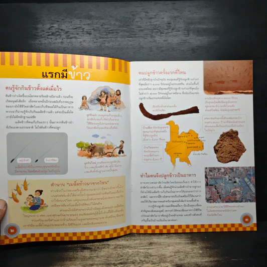 ข้าวไทย หนังสืออ่านเสริมบูรณาการกลุ่มสาระการเรียนรู้สำหรับเยาวชน รูปที่ 7