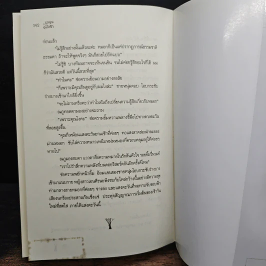 รุ่งอรุณอุ่นไอรัก - เรซิน รูปที่ 9