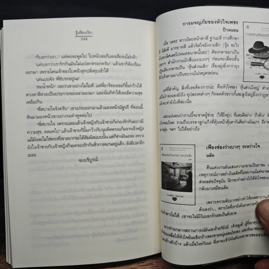 รู้เพียงรัก - เมเปิ้ลสีขาว รูปที่ 8