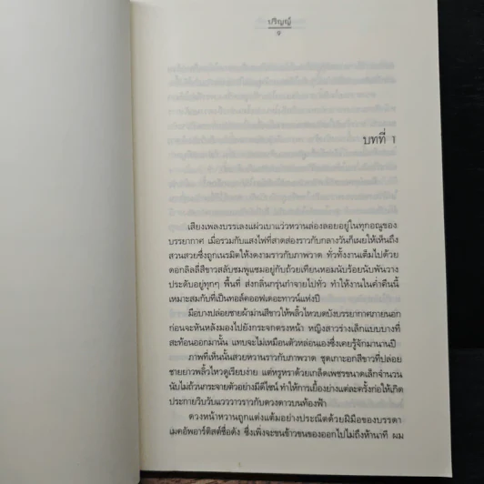 ถนนสายนางฟ้า - ปริญญ์ รูปที่ 7