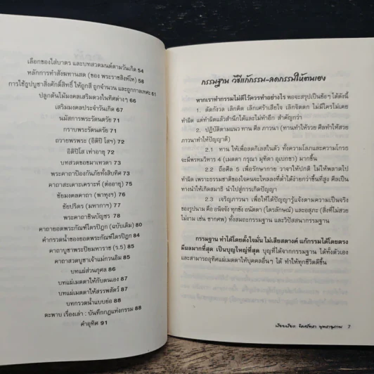 แก้กรรม! ทำเองได้ - จิตศรัทธา พุทธานุภาพ รูปที่ 8
