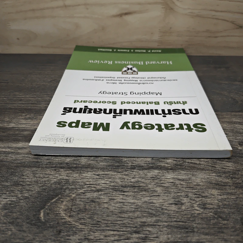 Strategy Maps การทำแผนที่กลยุทธ์ สำหรับ Balanced Scorecard - David P. Norton, Francis J. Gouillart รูปที่ 4