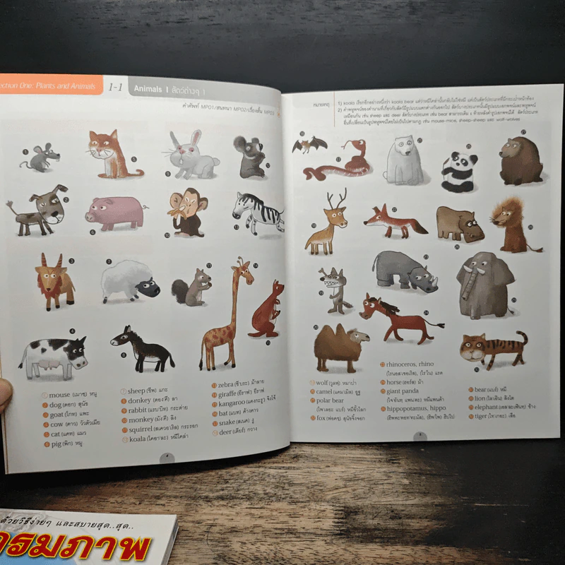 พจนานุกรมภาพอังกฤษ-ไทย ชุด 1-2 21st Century รูปที่ 10