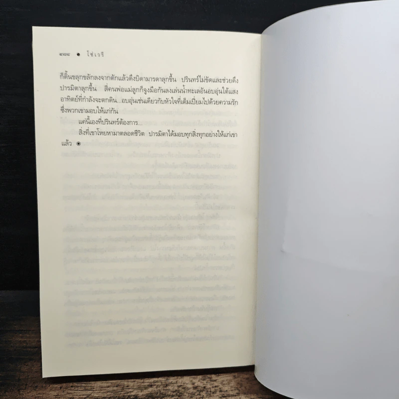 โซ่เวรี - ณารา รูปที่ 7