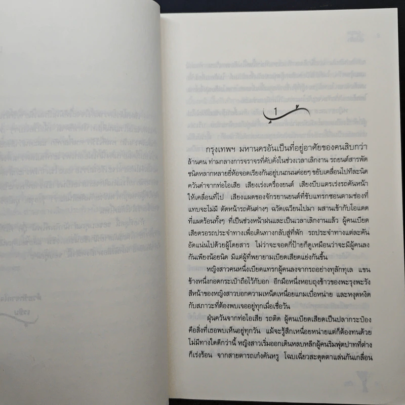 รุ่งอรุณอุ่นไอรัก - เรซิน รูปที่ 7