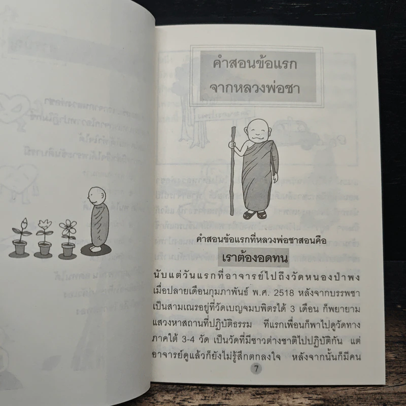 มีขันติคือให้พรแก่ตัวเอง - พระอาจารย์มิตซูโอะ คเวสโก รูปที่ 7