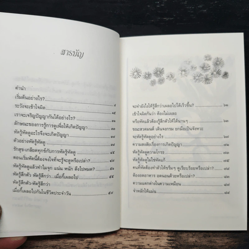 บันทึกดูจิต ตอน หัดรู้...หัดดู - สุรวัฒน์ เสรีวิวัฒนา รูปที่ 6