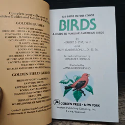 A Golden Guide Birds รูปที่ 6