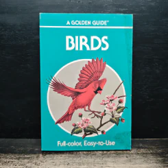 A Golden Guide Birds