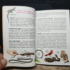 Reptiles and Amphibians รูปที่ 9