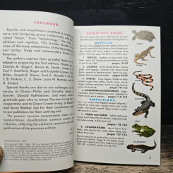 Reptiles and Amphibians รูปที่ 7