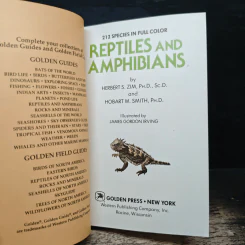 Reptiles and Amphibians รูปที่ 6