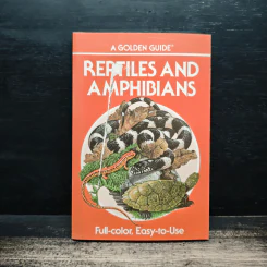 Reptiles and Amphibians