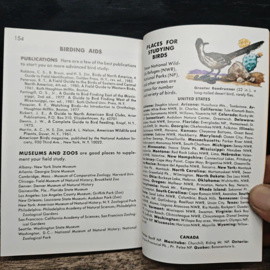 A Golden Guide Birds รูปที่ 10