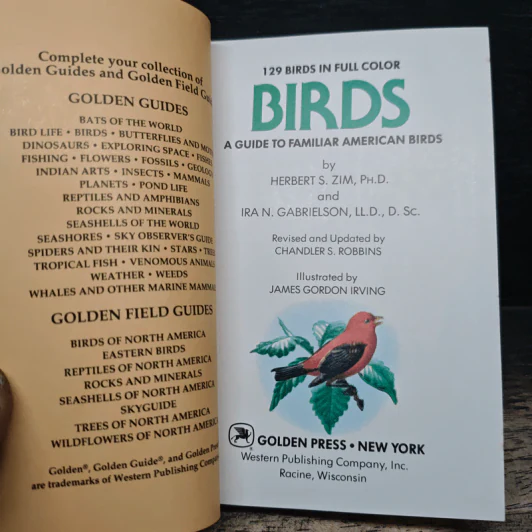 A Golden Guide Birds รูปที่ 6