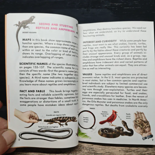 Reptiles and Amphibians รูปที่ 9