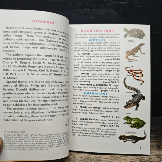 Reptiles and Amphibians รูปที่ 7
