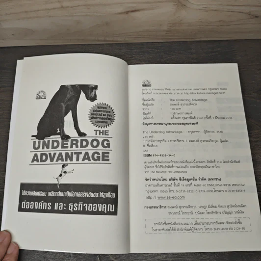 The Underdog Advantage ต่อองค์กรและธุรกิจของคุณ - เดวิด บอเร่ย์ รูปที่ 6