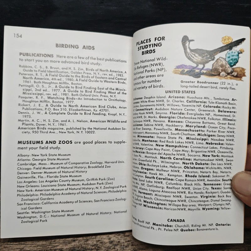 A Golden Guide Birds รูปที่ 10
