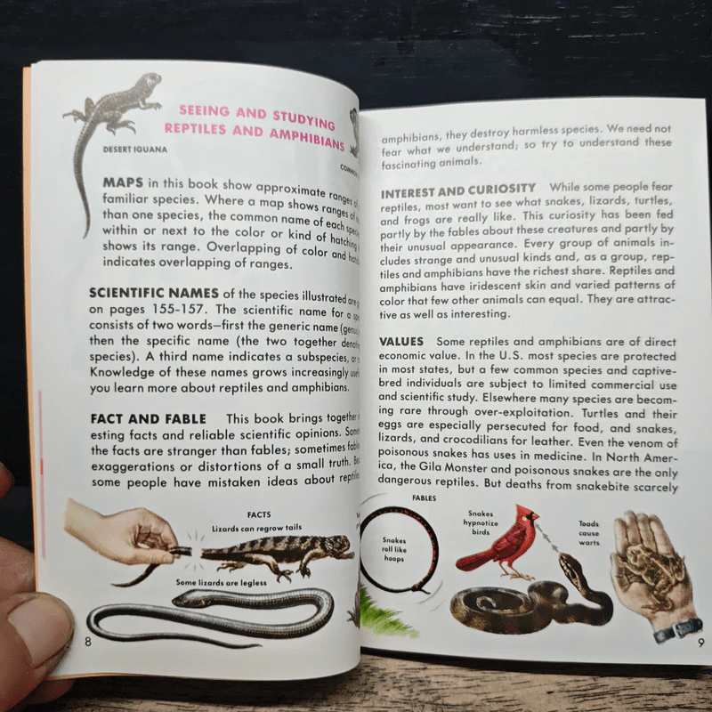 Reptiles and Amphibians รูปที่ 9