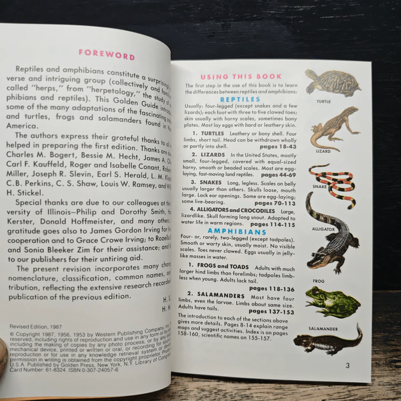 Reptiles and Amphibians รูปที่ 7