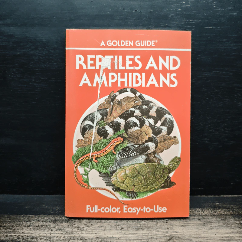 Reptiles and Amphibians รูปที่ 1