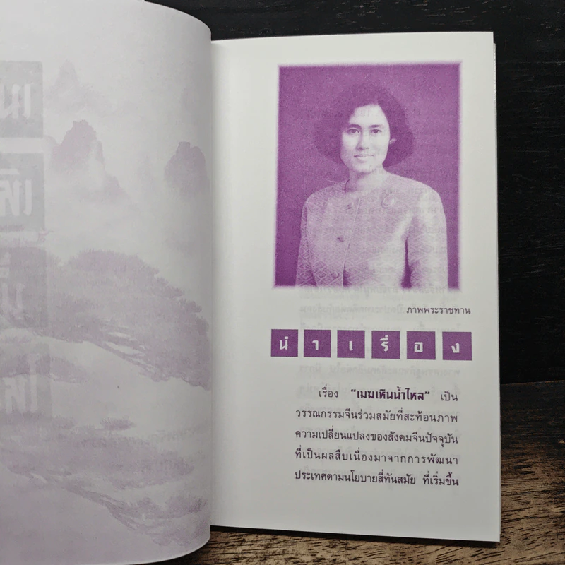เมฆเหิน น้ำไหล - สมเด็จพระเทพรัตนราชสุดาฯ รูปที่ 6