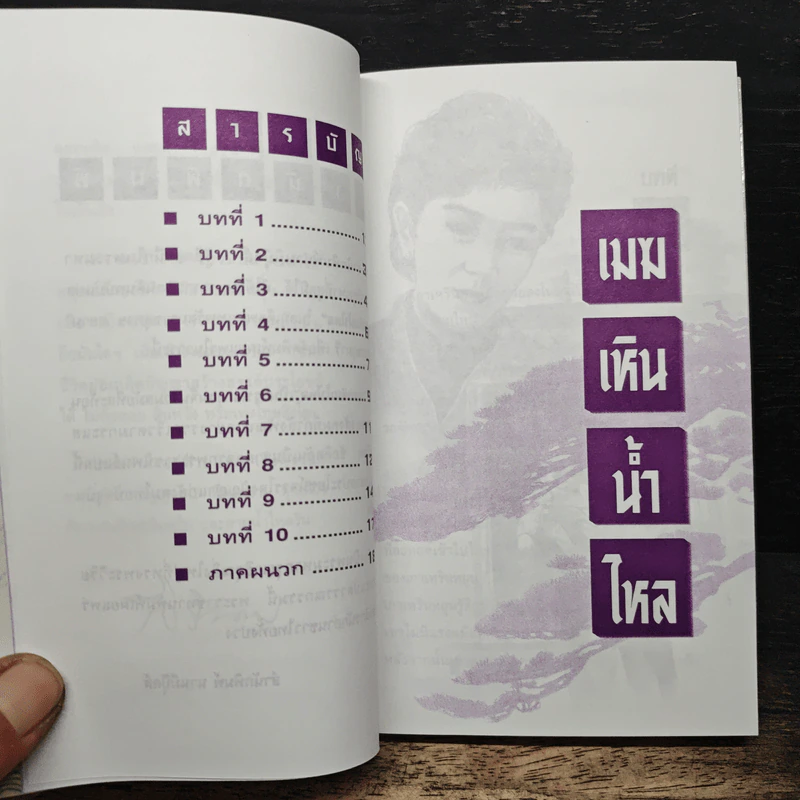 เมฆเหิน น้ำไหล - สมเด็จพระเทพรัตนราชสุดาฯ รูปที่ 8