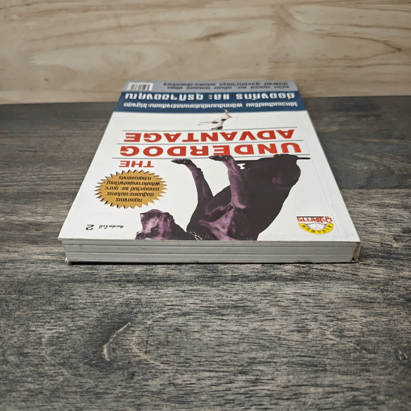 The Underdog Advantage ต่อองค์กรและธุรกิจของคุณ - เดวิด บอเร่ย์ รูปที่ 4