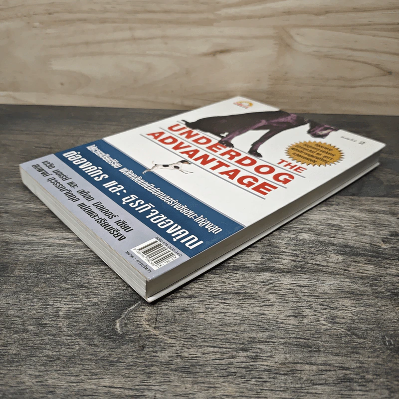 The Underdog Advantage ต่อองค์กรและธุรกิจของคุณ - เดวิด บอเร่ย์ รูปที่ 3
