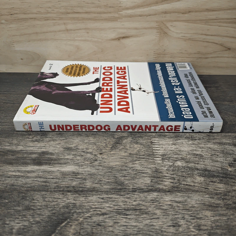 The Underdog Advantage ต่อองค์กรและธุรกิจของคุณ - เดวิด บอเร่ย์ รูปที่ 2