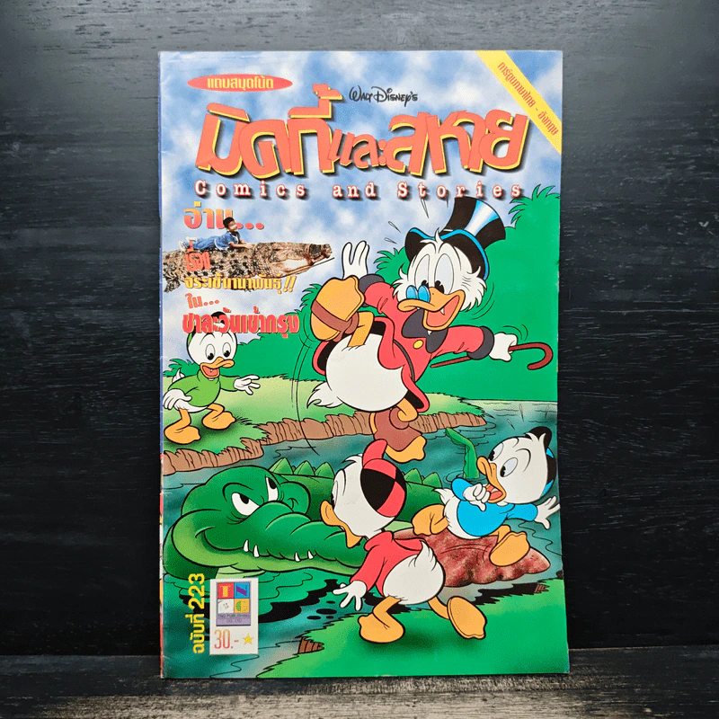 Walt Disney's COMICS And Stories ฉบับที่ 223 รูปที่ 1