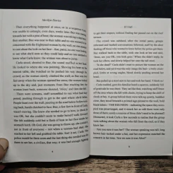If I Fall - Merilyn Davies รูปที่ 8