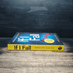 If I Fall - Merilyn Davies รูปที่ 3