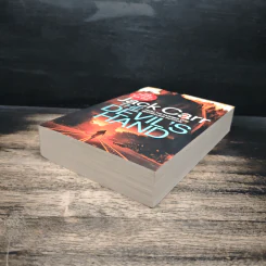 The Devil's Hand - Jack Carr รูปที่ 4