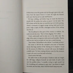 The Dangerous Kind - Deborah O'Connor รูปที่ 7